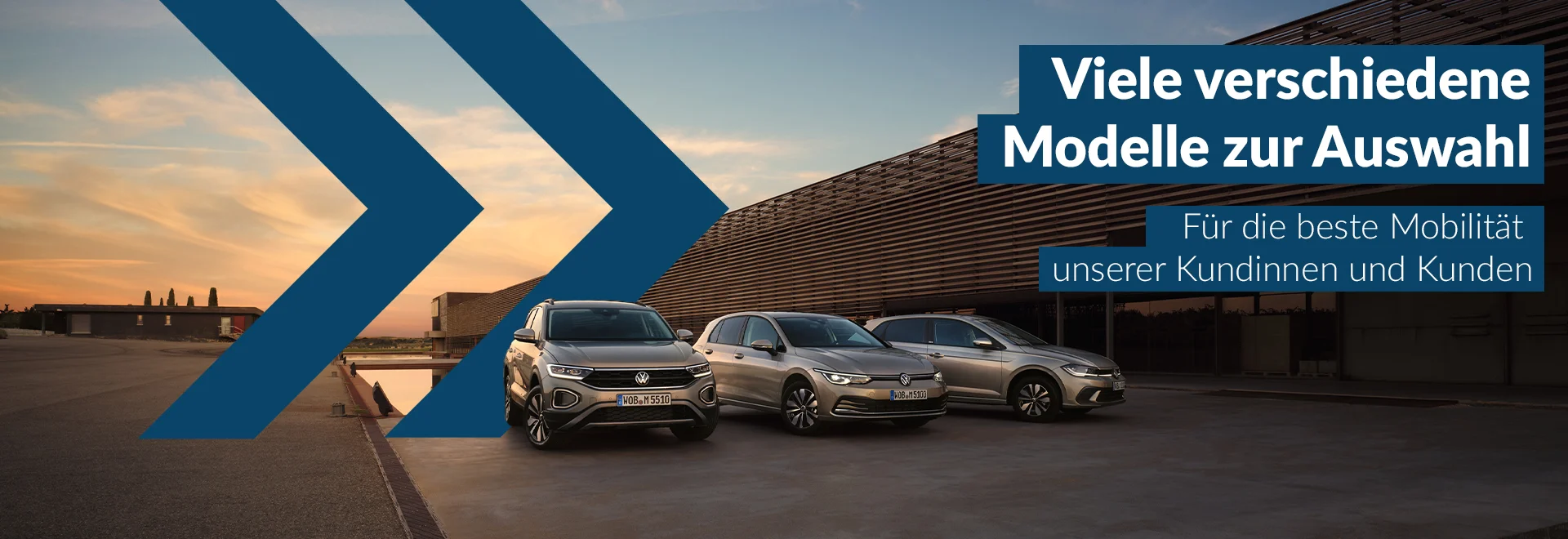 Riemer VW Range Banner Euro Mobile